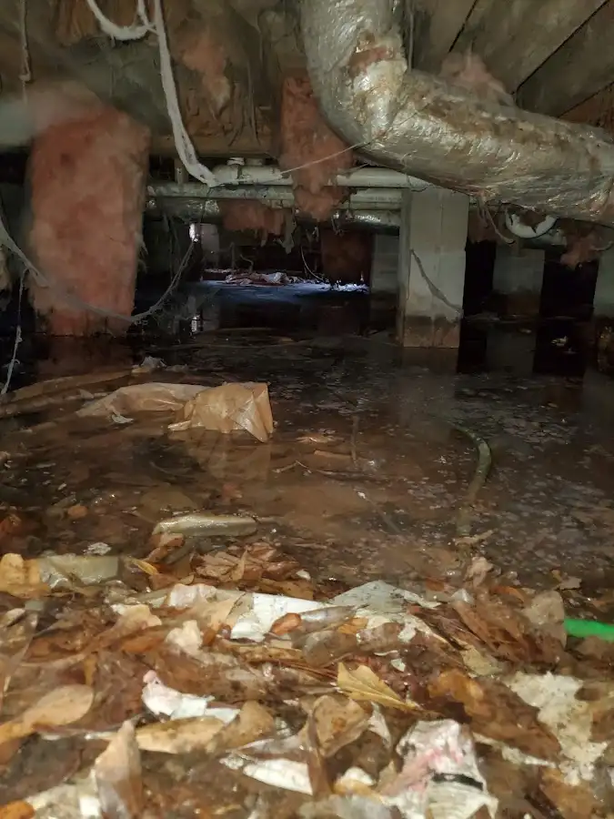 Crawl space flood assessment for Leak Detection & Repair in Riverton